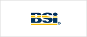 British Standards Institution (BSI)