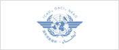 International Civil Aviation Organization (ICAO)