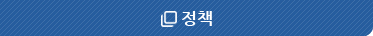 정책