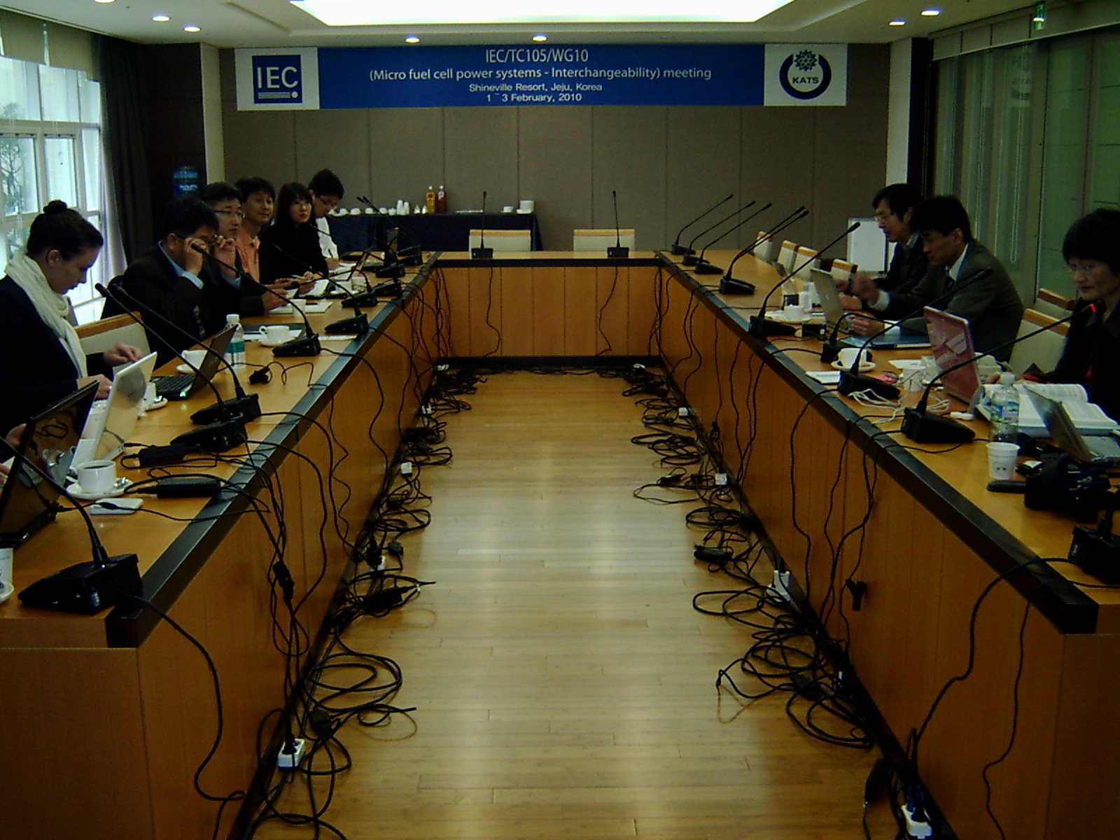 IEC/TC105(연료전지)/WG10(마이크로연료전지-호환성)국제표준화회의 개최(2010.2.1~3, 제주 샤인빌)